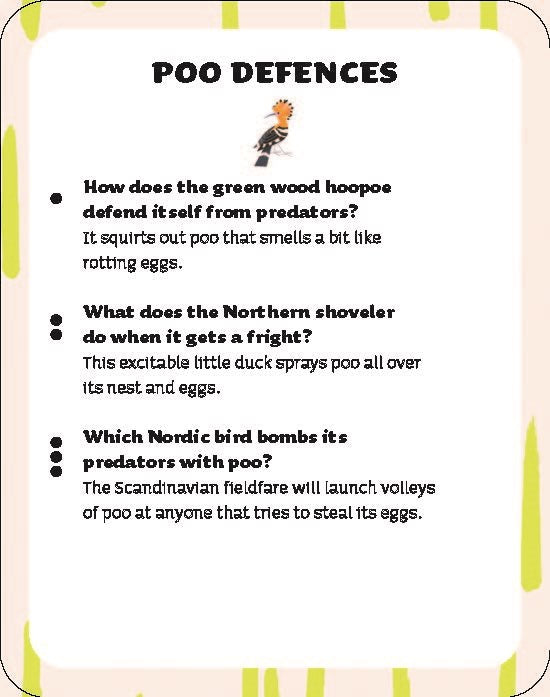BIG POOP QUIZ: TOILET TRIVIA FOR ALL THE FAMILY – jaZams