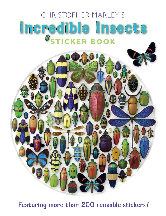 STICKER BOOK INSECT – jaZams